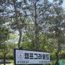 게임캠프 | 원주애견동반 글램핑컨셉 바베큐장 캠프그라운드 방문후기 주말가볼만한곳