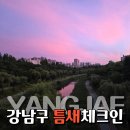양재역 놀거리 양재천 카페거리 주차 산책 수변문화쉼터 후기