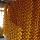 연중농장 이미지