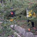 재운농장 이미지