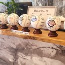 산동흑염소 이미지