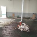 동아종합인쇄사