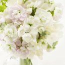 통통김밥 이미지