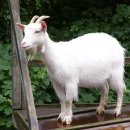 월드비젼 이미지