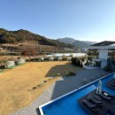 111 | 애견 동반 카페 찾는다면? 청주 대형 카페 111LAC(일일일락) 방문 후기