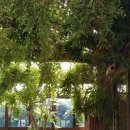 허브빌리지(Herb village) 이미지