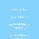 춘천 고양이집 이미지