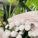 빅스토아 이미지