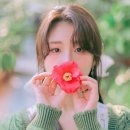 아트그라비아 이미지