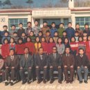 백룡초교 Daum카페