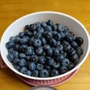 아영농장 이미지