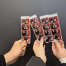 (주)포커스투어 | 2025년 2월 3째주, 그 날들의 기록(점핑 다이어트, 강아지, 웨딩밴드투어, 온유콘서트)