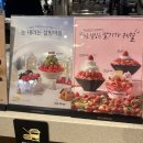 설빙 광교상현역점 | [용인 상현역점] 설빙 광교상현역점/설빙 신메뉴 잔망루피 낭만딸기 비추천/내돈내산 솔직후기