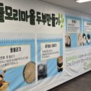 돌모리카페