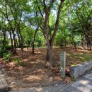 예술회관역 11번출구 이미지