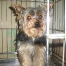 애동유치원 이미지