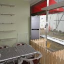 복실이네 애견 이미지