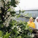 신효동-21 이미지