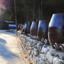 올챙이캠핑장 이미지