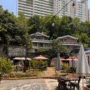 한라산도새기 이미지