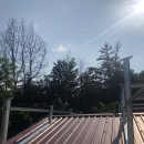 다올샌드위치 이미지