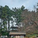 충무굴뚝배기추어탕 | 충남 보령여행 진추어탕 죽도 상화원 아름다운정원 화수목 (아빠와 마지막 여행)