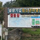 솔향기길청소년야영장 이미지