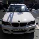 바우바우 이미지