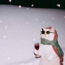 미우랑농장 | 라망타로 상담후기 : 연애 타로, 별자리 운세, 남자친구 속마음, 사업장 이동, 부동산 거래계약, 이직...