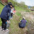 회천서초교 이미지