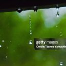 청하한의원 이미지