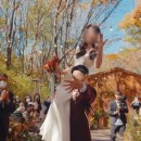 하루를담다 | [웨딩일기#12] 부산 본식 DVD 계약 [하루를담다] 계약 후기