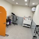 커몬댕댕 광주애견유치원&애견호텔 이미지