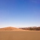 주식회사 홍익홍성발전소 | 2020년 02월 05일 점 보러 가서 소름 돋은 미녕