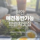 엠지인재개발원 | 천안 브런치맛집 애견동반가능한 카페 에이게이트!