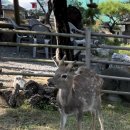 에코팜농장 이미지