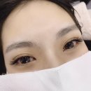 리스속눈썹