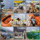 지에스(GS)25 울산진하점 | [울산] 울주군 진하해수욕장 무료 물놀이,주차창 토요일 주말 방문 꿀팁