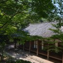 유선카페유선관