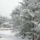 `베이비부머` 국민연금으로 노후 준비 방법 이미지
