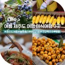 채운7통마을회관 | 여름 제주도 여행, 도민이 콕 찍은 제철 미식 3곳
