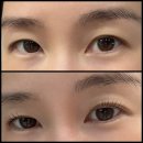 빠기샵 | [충북혁신도시 속눈썹] 뮤토 메이크업 헤어 속눈썹 / 속눈썹 펌, 연장 잘 하는 곳👍