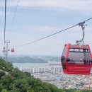 이레카정비센타 | 목포 유달산 케이블카 탑승 전 꼭 알아야 할 최근 변화와 이용 팁
