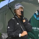 더헤븐