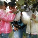 옹달샘꽃누름마을 이미지