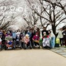 행복한사과나무 이미지