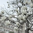 지하오 | 알바당일해고후기^-^