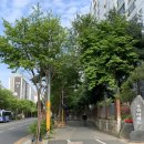 크로바아파트(정문 맞은편) 이미지