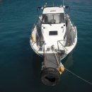 둘리카센타 이미지