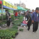 장호원전통시장 이미지